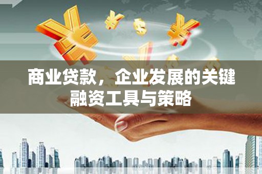 西峡商业贷款，企业发展的关键融资工具与策略