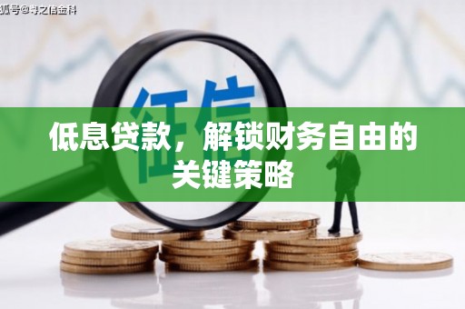 西峡低息贷款，解锁财务自由的关键策略