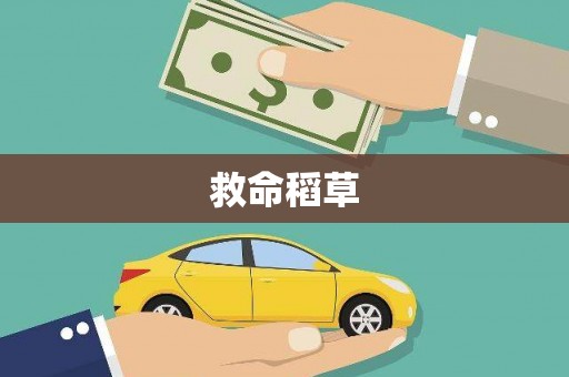 西峡救命稻草
