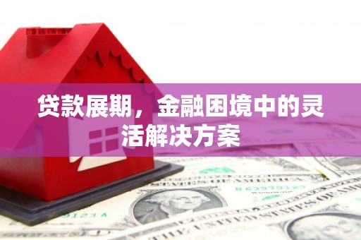 西峡贷款展期，金融困境中的灵活解决方案