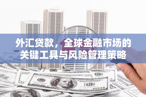西峡外汇贷款，全球金融市场的关键工具与风险管理策略