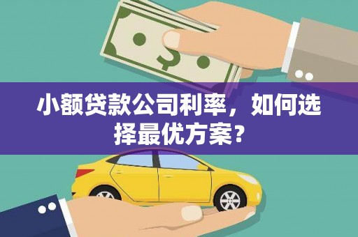 西峡小额贷款公司利率，如何选择最优方案？