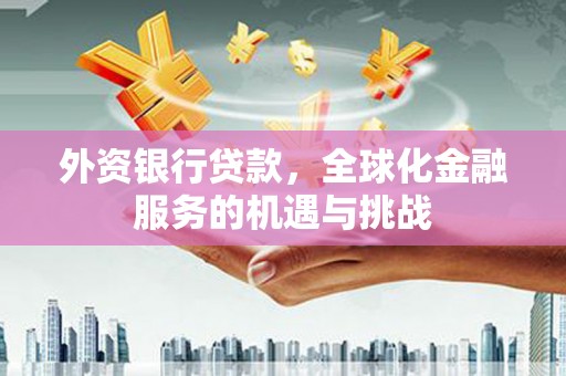 西峡外资银行贷款，全球化金融服务的机遇与挑战