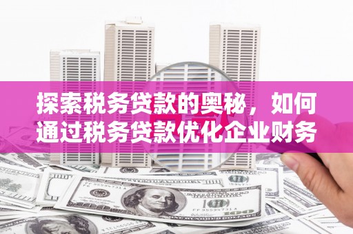 西峡探索税务贷款的奥秘，如何通过税务贷款优化企业财务