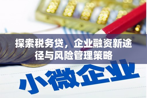 西峡探索税务贷，企业融资新途径与风险管理策略