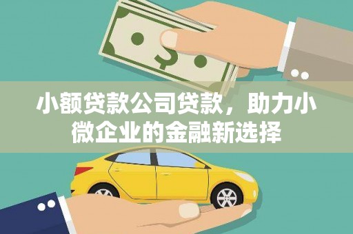 西峡小额贷款公司贷款，助力小微企业的金融新选择