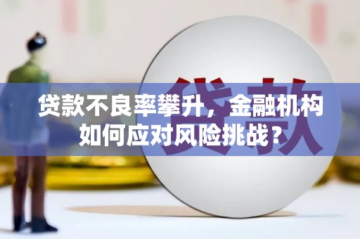 西峡贷款不良率攀升，金融机构如何应对风险挑战？