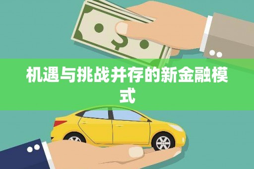 西峡机遇与挑战并存的新金融模式