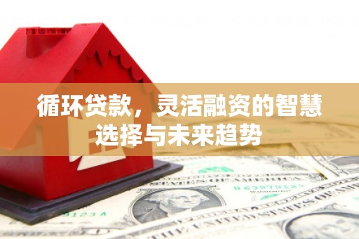 西峡循环贷款，灵活融资的智慧选择与未来趋势