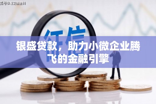 西峡银盛贷款，助力小微企业腾飞的金融引擎