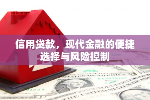 西峡信用贷款，现代金融的便捷选择与风险控制