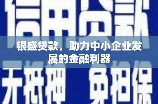 西峡银盛贷款，助力中小企业发展的金融利器