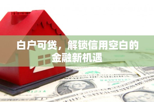 西峡白户可贷，解锁信用空白的金融新机遇