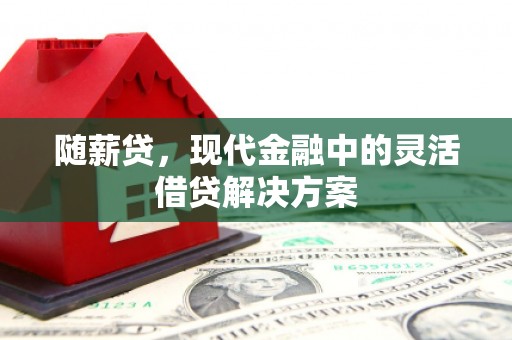 西峡随薪贷，现代金融中的灵活借贷解决方案