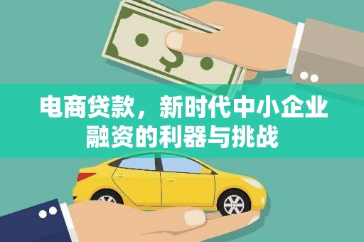 西峡电商贷款，新时代中小企业融资的利器与挑战
