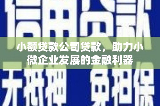 西峡小额贷款公司贷款，助力小微企业发展的金融利器