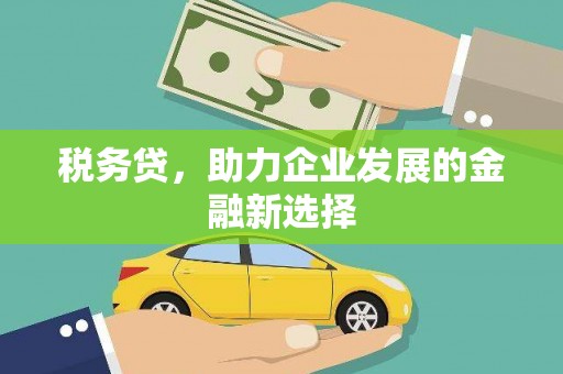西峡税务贷，助力企业发展的金融新选择