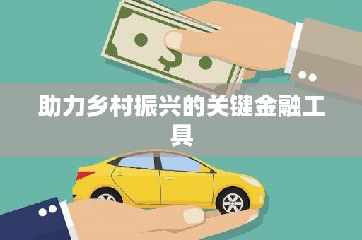 西峡助力乡村振兴的关键金融工具