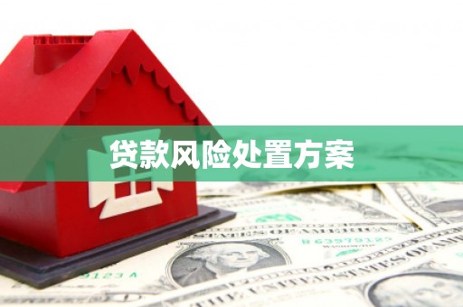 西峡贷款风险处置方案