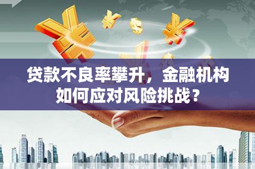 西峡贷款不良率攀升，金融机构如何应对风险挑战？