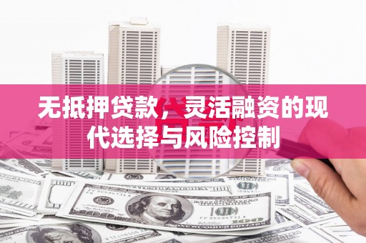 西峡无抵押贷款，灵活融资的现代选择与风险控制