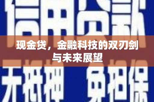 西峡现金贷，金融科技的双刃剑与未来展望