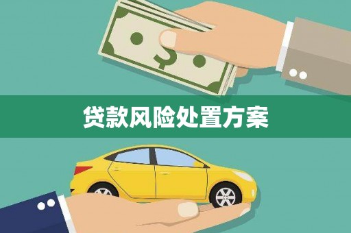 西峡贷款风险处置方案