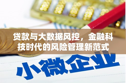 西峡贷款与大数据风控，金融科技时代的风险管理新范式