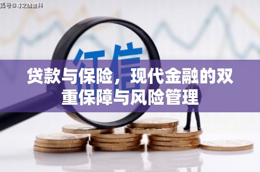 西峡贷款与保险，现代金融的双重保障与风险管理