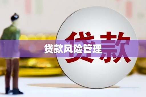 西峡贷款风险管理