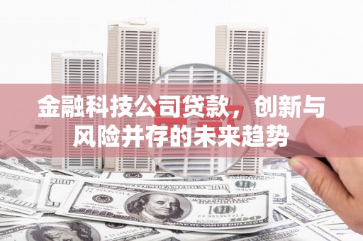 西峡金融科技公司贷款，创新与风险并存的未来趋势