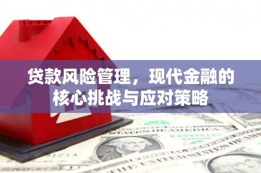 西峡贷款风险管理，现代金融的核心挑战与应对策略