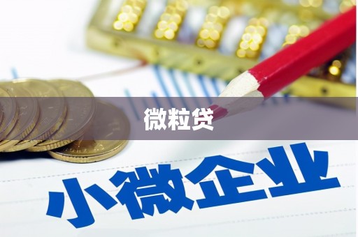 西峡微粒贷