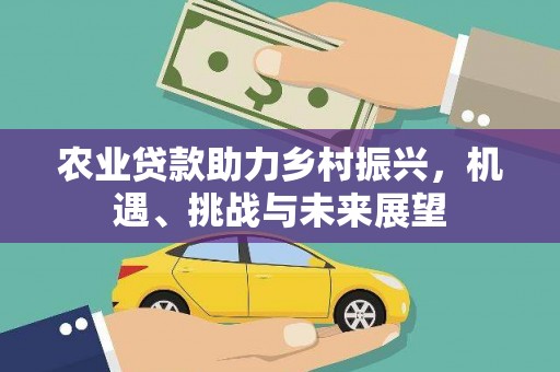 西峡农业贷款助力乡村振兴，机遇、挑战与未来展望