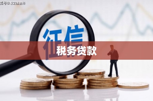 西峡税务贷款