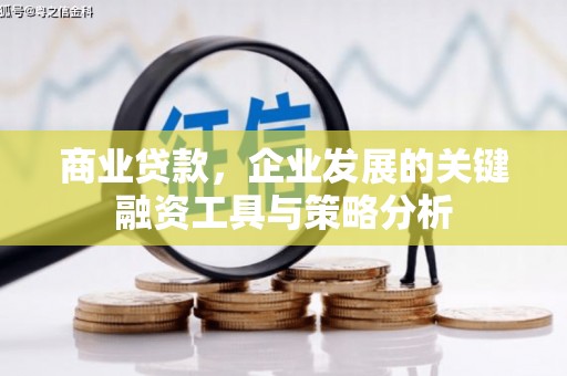 西峡商业贷款，企业发展的关键融资工具与策略分析