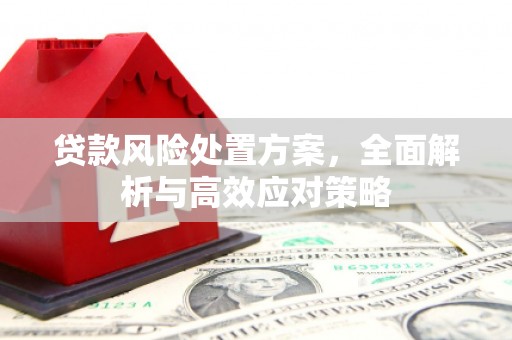 西峡贷款风险处置方案，全面解析与高效应对策略