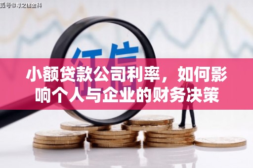 西峡小额贷款公司利率，如何影响个人与企业的财务决策