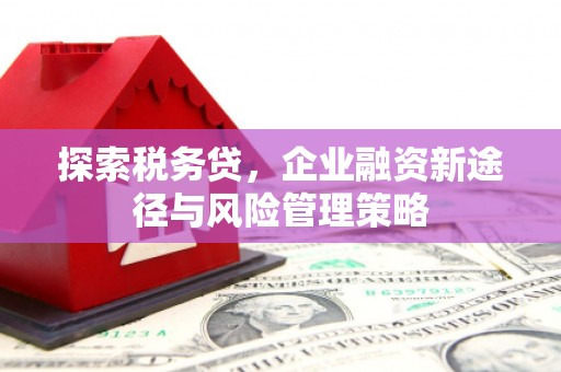 西峡探索税务贷，企业融资新途径与风险管理策略