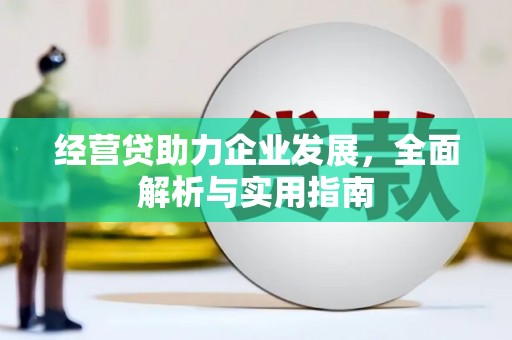 西峡经营贷助力企业发展，全面解析与实用指南