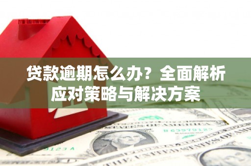 西峡贷款逾期怎么办？全面解析应对策略与解决方案