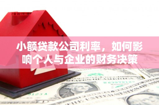 西峡小额贷款公司利率，如何影响个人与企业的财务决策