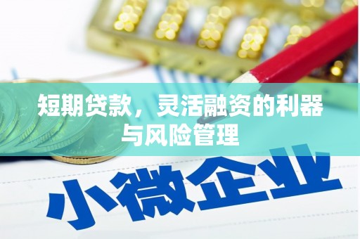西峡短期贷款，灵活融资的利器与风险管理