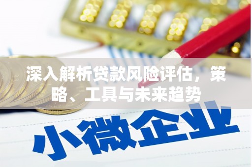 西峡深入解析贷款风险评估，策略、工具与未来趋势