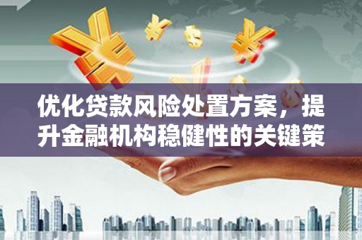西峡优化贷款风险处置方案，提升金融机构稳健性的关键策略