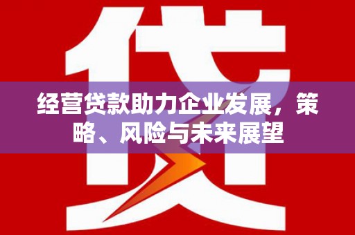 西峡经营贷款助力企业发展，策略、风险与未来展望
