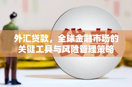 西峡外汇贷款，全球金融市场的关键工具与风险管理策略