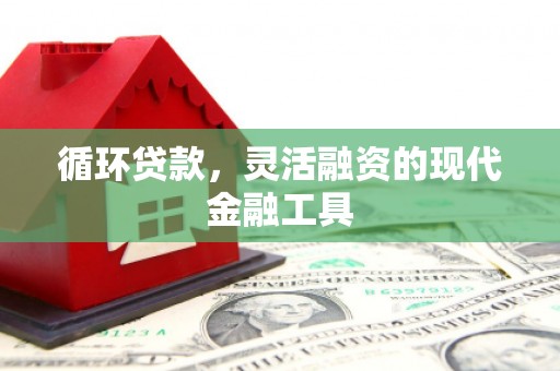 西峡循环贷款，灵活融资的现代金融工具