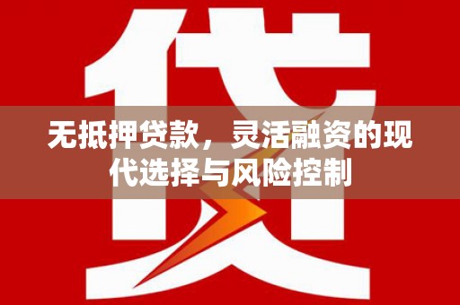 西峡无抵押贷款，灵活融资的现代选择与风险控制