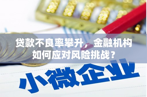 西峡贷款不良率攀升，金融机构如何应对风险挑战？